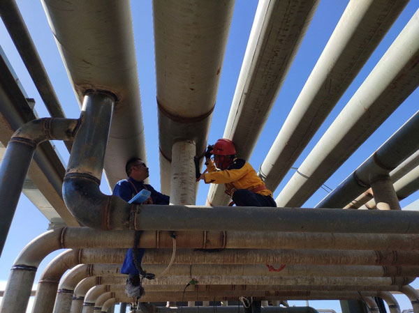 從寒冬到初秋,青海現(xiàn)場的同事們、你們辛苦了